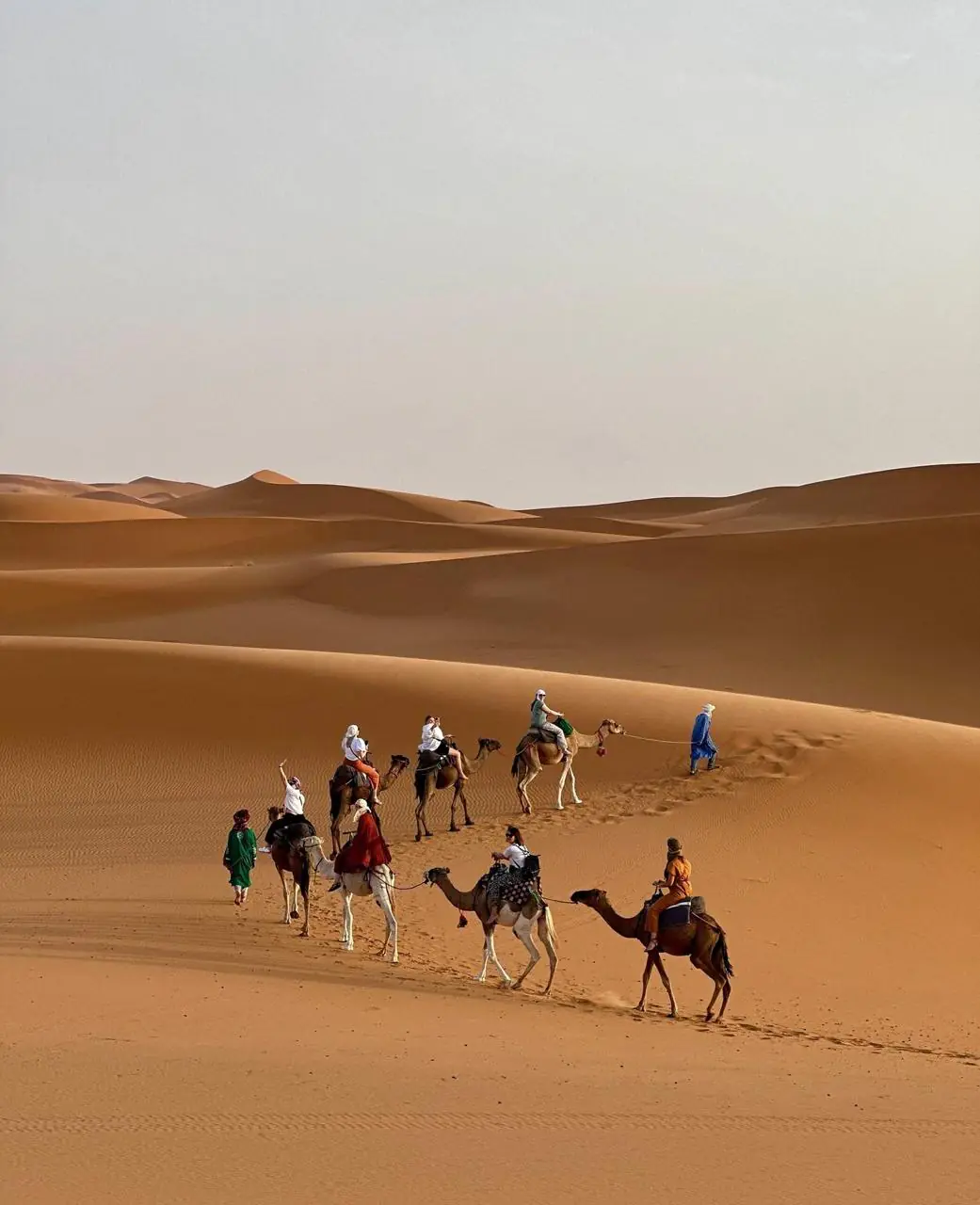 A caravan of travellers on camels among tall Sahara dunes, led by a guide in a blue robe