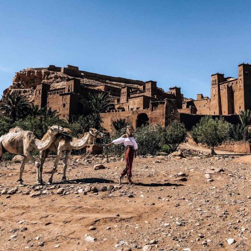 BenHaddou-camel4