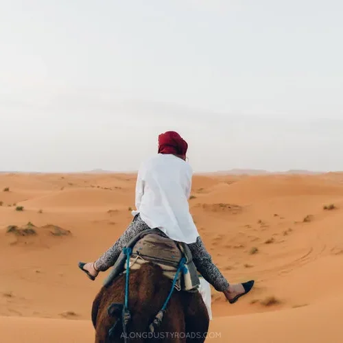 Camel+Riding+in+the+Sahara,+Merzouga,+Morocco (1)