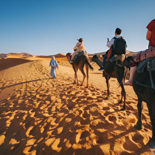 About Morocco Trips