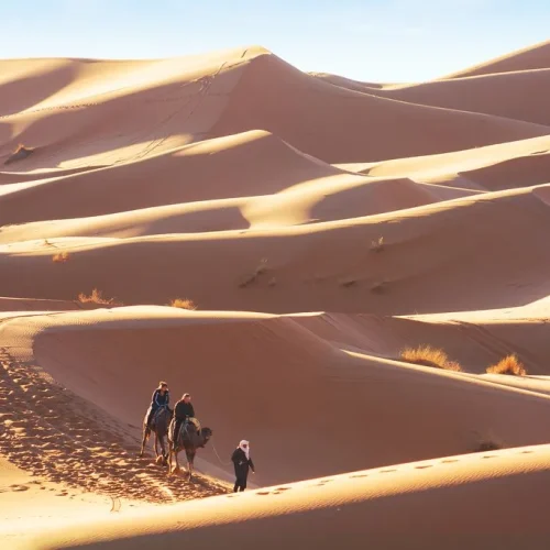 Early morning trek through the dunes of Erg Chebbi