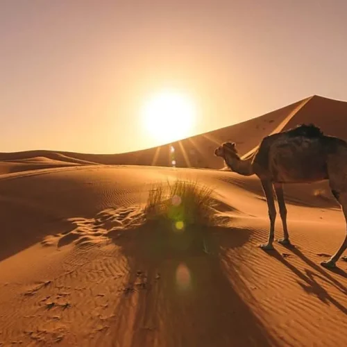 Erg-Chebbi-Morocco-1024x662