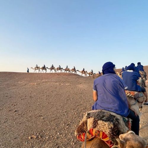 camel ride Agafay 2