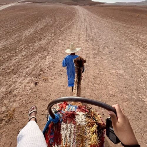 camel ride Agafay