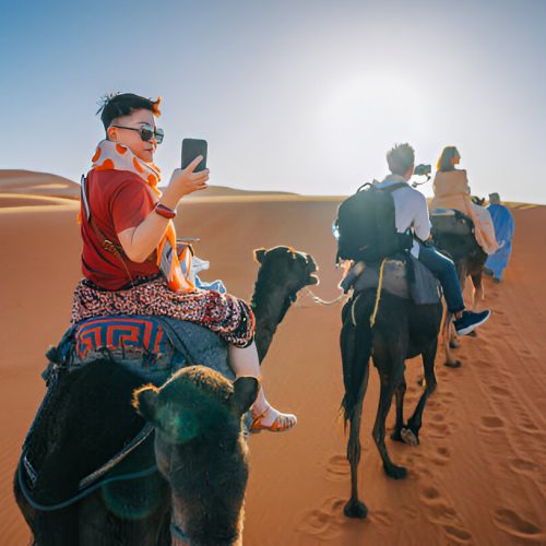 camel ride