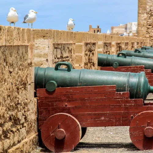 cannons-of-essaouira