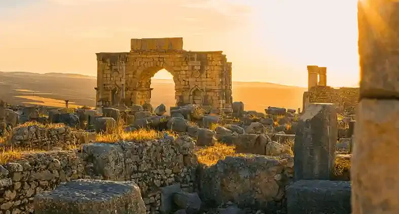 Excursión de 1 día a Meknes desde Fez