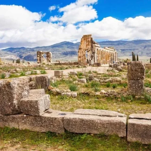 meknes-volubilis in morocco (4)