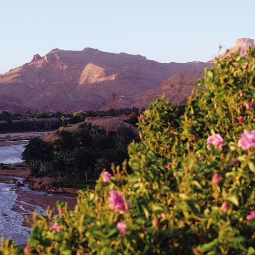 vallee-des-roses-maroc-245074-1440x670-1